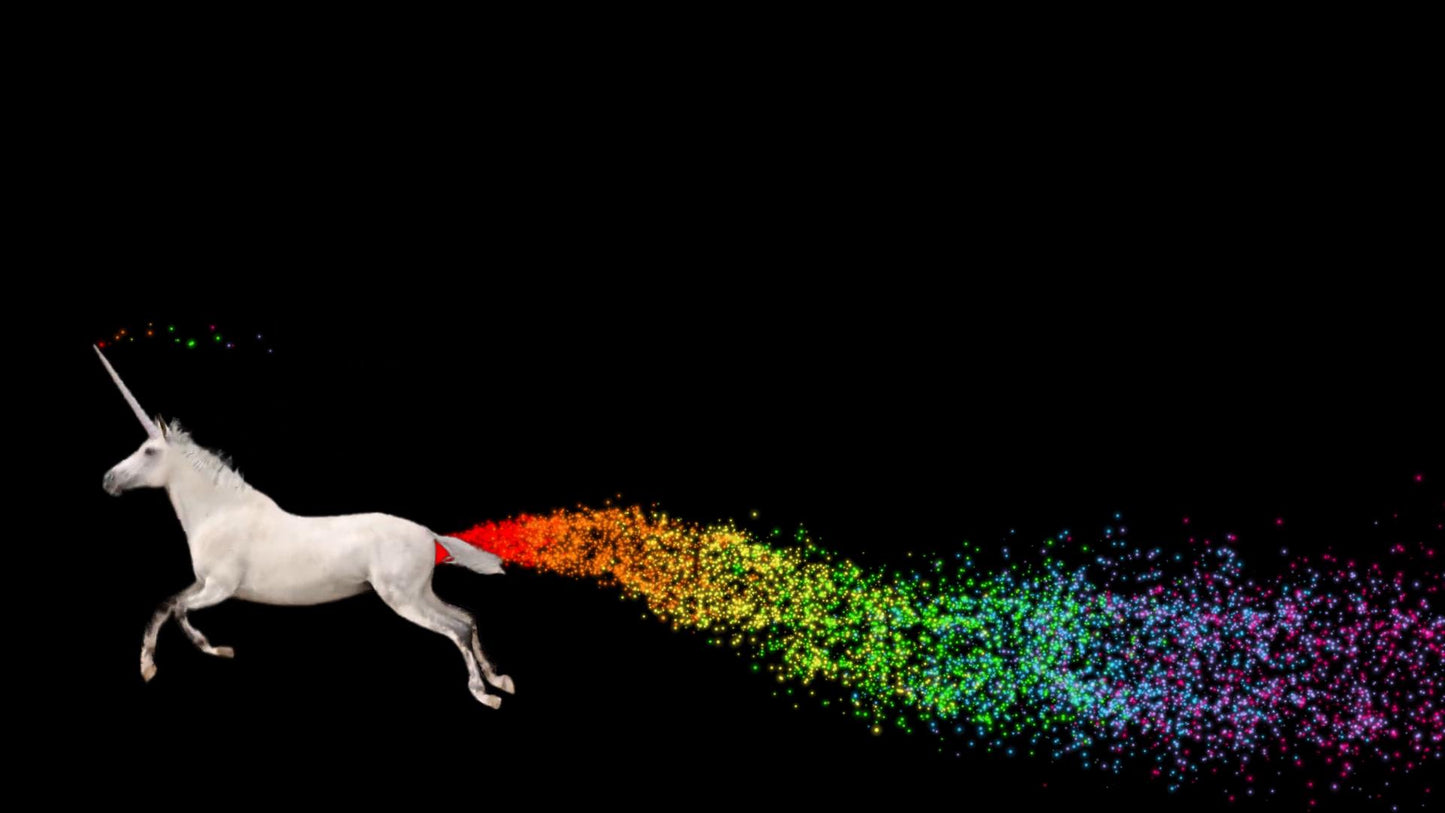 Unicorn Stream Alert - Full Screen Animated Overlay with Transparent Background - 1920x1080 - Instant Download - Fun Channel Point Redeem!