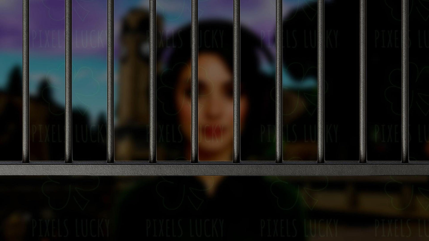 Jail Stream Alert - Animated Overlay - Custom Sound - Full Screen 1920x1080 - Transparent Background - Instant Download - Tutorial Included