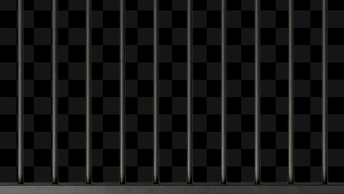 Jail Stream Alert - Animated Overlay - Custom Sound - Full Screen 1920x1080 - Transparent Background - Instant Download - Tutorial Included