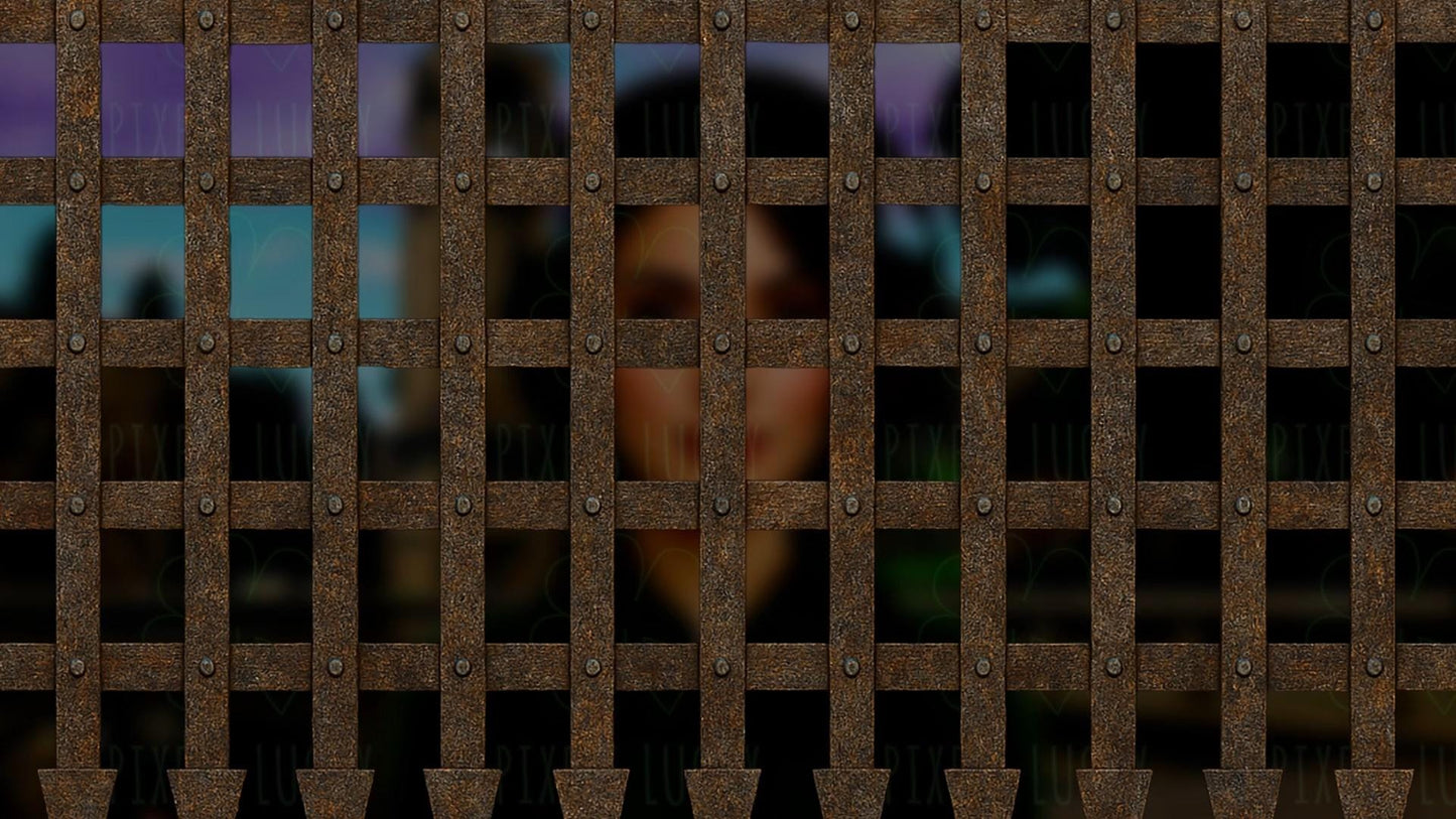 Castle Gate Stream Alert - Animated Overlay - Custom Sound - Full Screen 1920x1080 - Transparent Background - Instant Download - Easy To Use