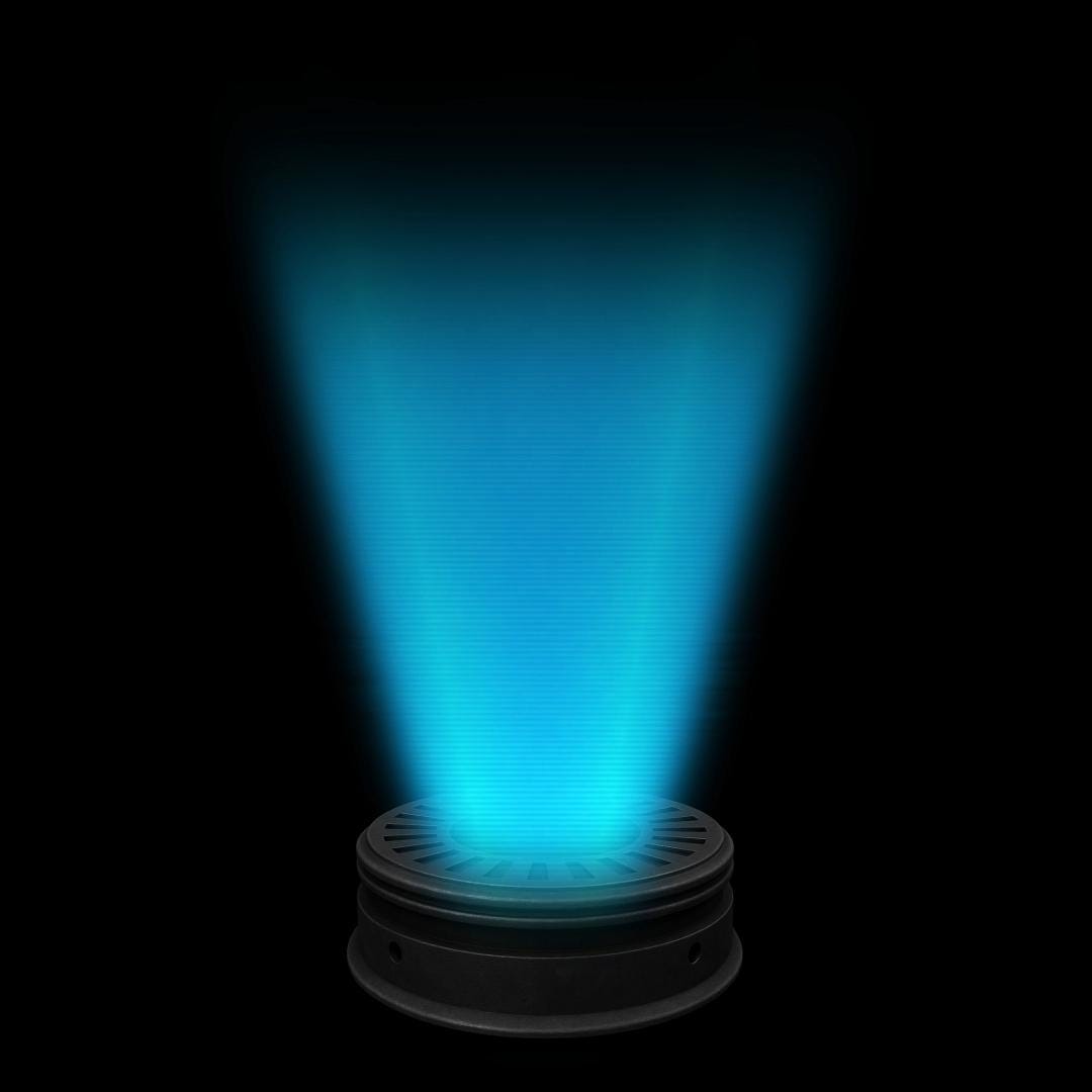Bounty Disc Stream Alert & Looping Decoration - Animated Overlay with Transparent Background - Instant Download - Tutorial Included