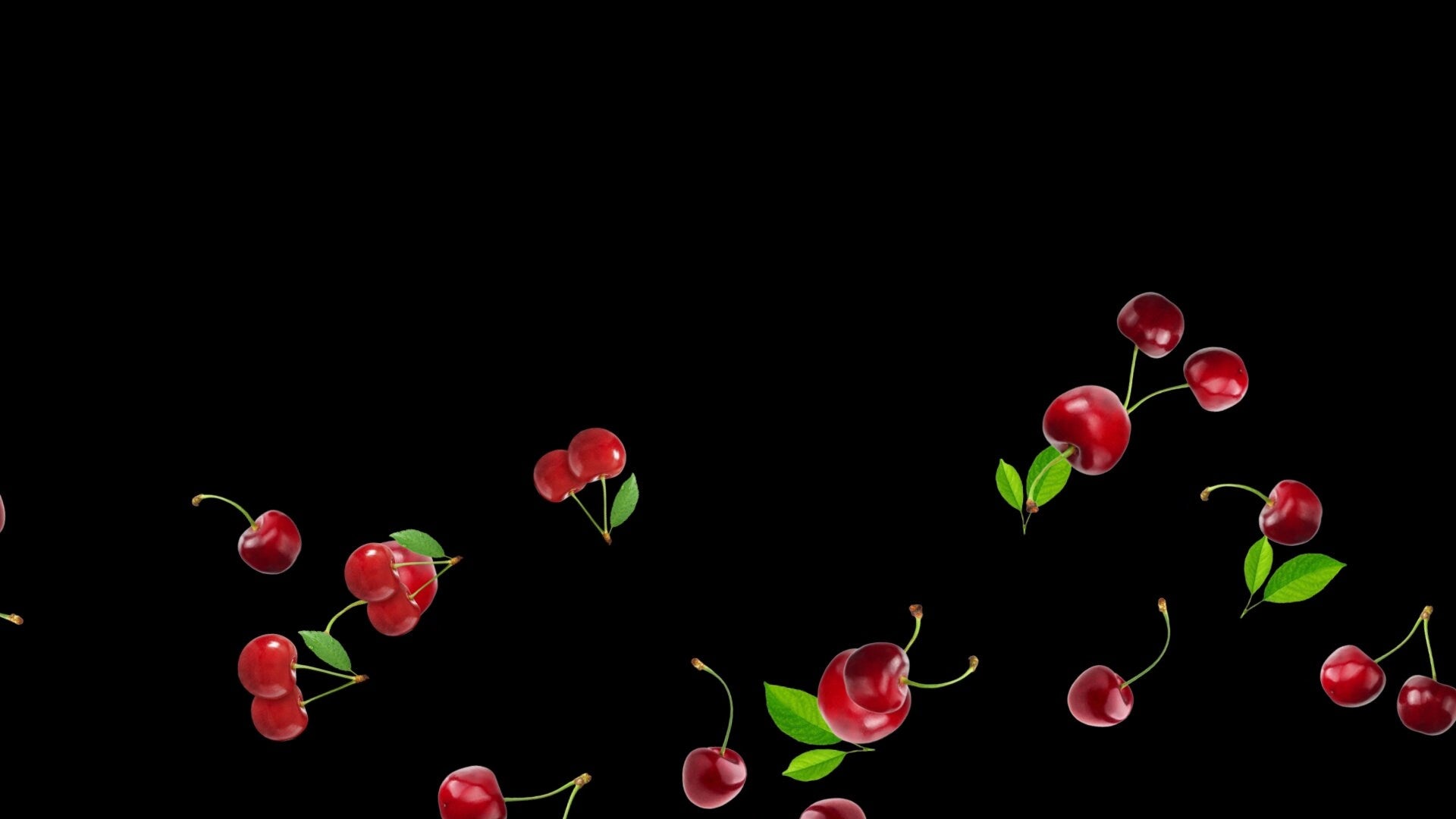 Cherry Bounce Stream Alert - Full Screen Animation Overlay with Transparent Background - 1920x1080 - Instant Download - Easy to Setup & Use!