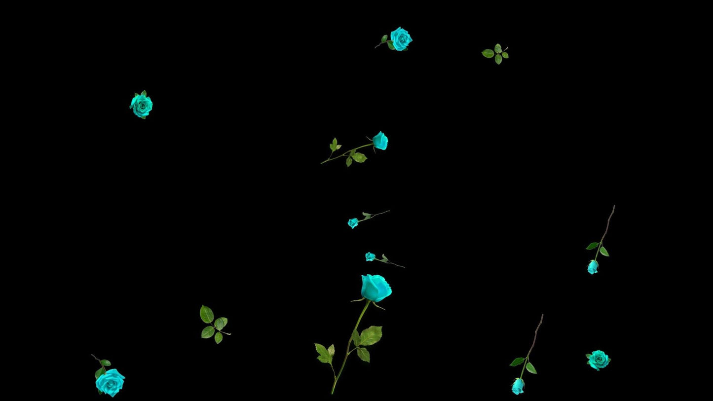 Aqua Blue Roses Stream Alert - Full Screen Animated Flower Overlay with Transparent Background - 1920x1080 - Instant Download - Cute Effect!