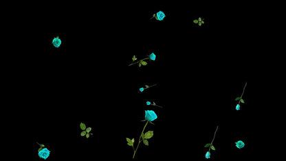 Aqua Blue Roses Stream Alert - Full Screen Animated Flower Overlay with Transparent Background - 1920x1080 - Instant Download - Cute Effect!