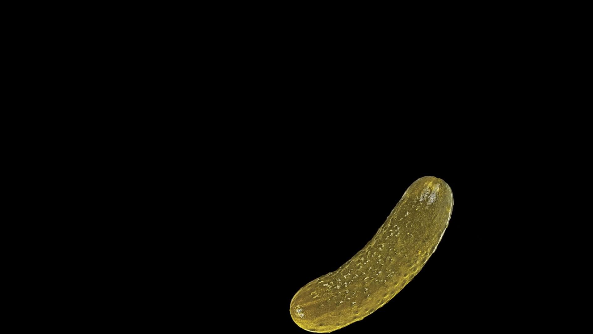 Pickle Drop Stream Alert - Full Screen Animated Effect with Transparent Background - 1920x1080 - Instant Download - Fun Channel Point Redeem