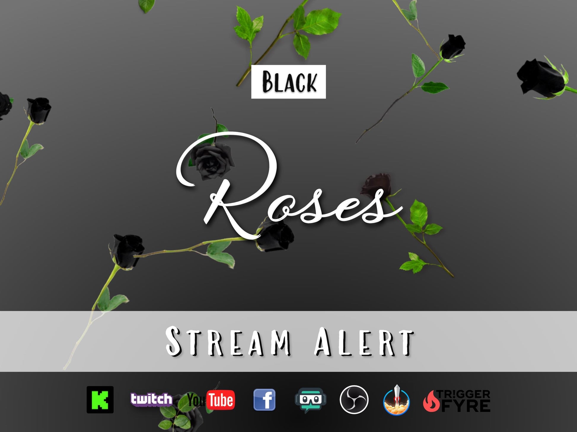 Black Roses Stream Alert - Full Screen Animated Flower Overlay w/ Transparent Background - 1920x1080 - Instant Download - Cute & Easy To Use