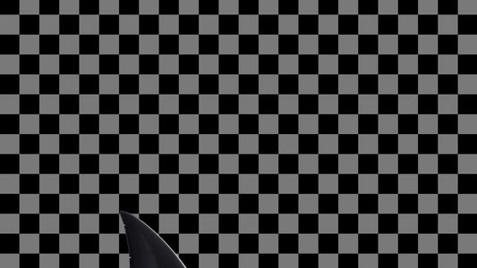 Shark Fin Stream Alert - Animated Overlay with Transparent Background - Full Screen 1920x1080 - Instant Download - .WEBM file with Sound!