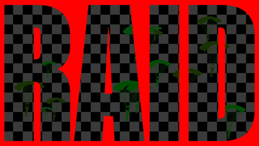 Airborne Raid Stream Alert - Full Screen Animated Overlay - Transparent Background - Sound - 1920x1080 - 2 Variations - Instant Download