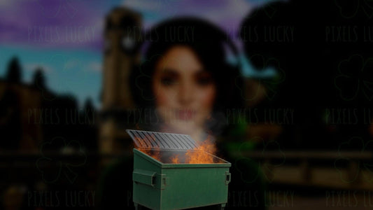 Dumpster Fire Stream Alert - Full Screen Animated Overlay - With Custom Sound - Transparent Background - 1920x1080 - Instant Download - Fun!