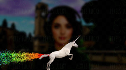 Unicorn Stream Alert - Full Screen Animated Overlay with Transparent Background - 1920x1080 - Instant Download - Fun Channel Point Redeem!