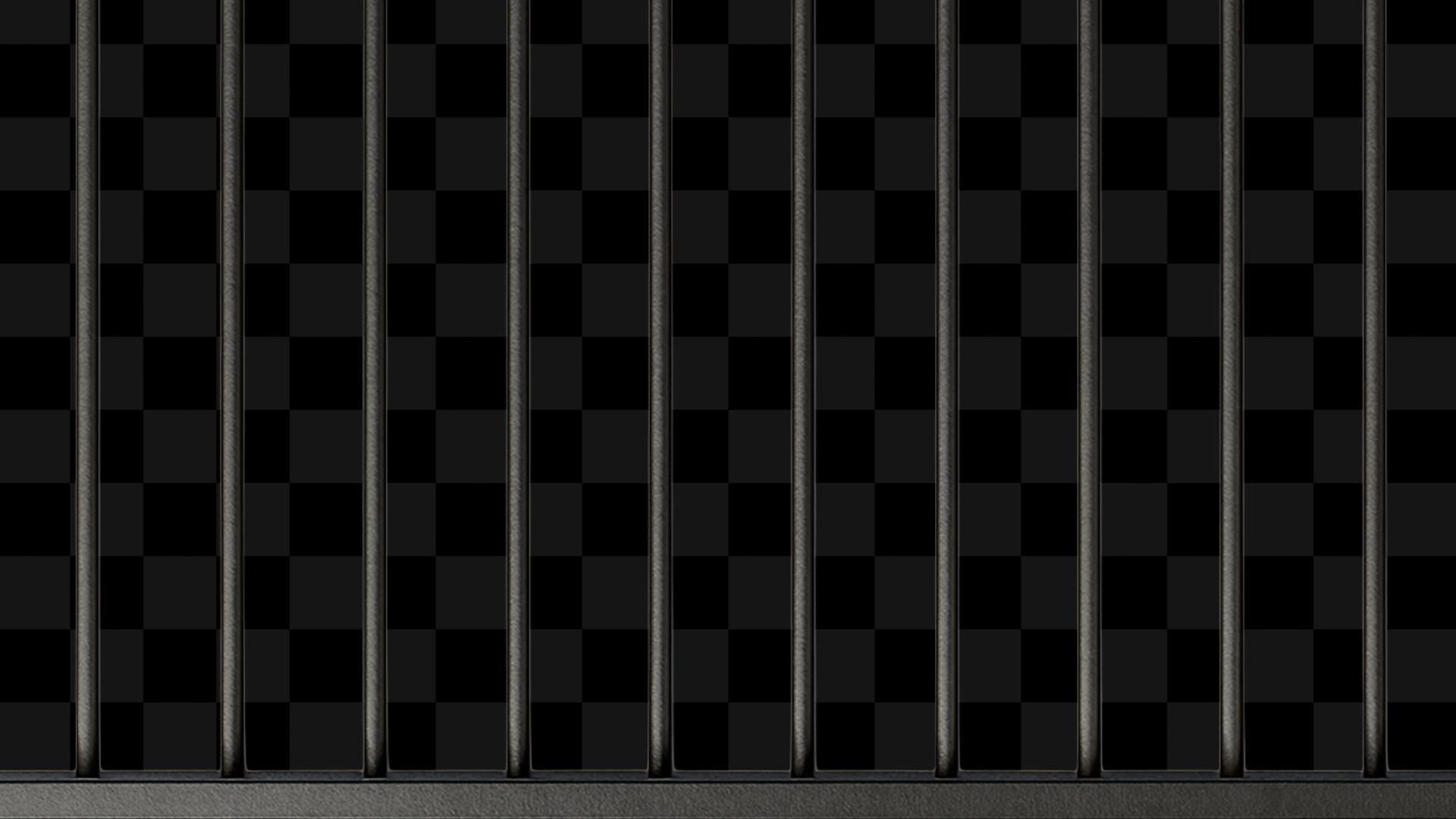 Jail Stream Alert - Animated Overlay - Custom Sound - Full Screen 1920x1080 - Transparent Background - Instant Download - Tutorial Included
