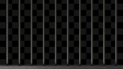 Jail Stream Alert - Animated Overlay - Custom Sound - Full Screen 1920x1080 - Transparent Background - Instant Download - Tutorial Included