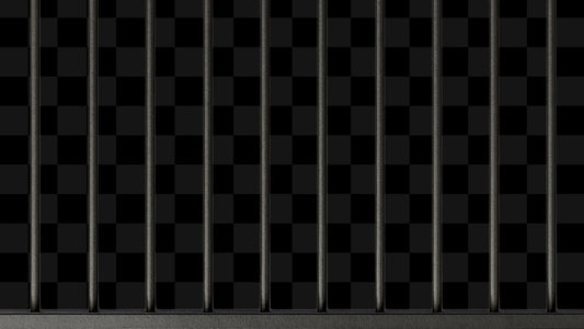 Jail Stream Alert - Animated Overlay - Custom Sound - Full Screen 1920x1080 - Transparent Background - Instant Download - Tutorial Included