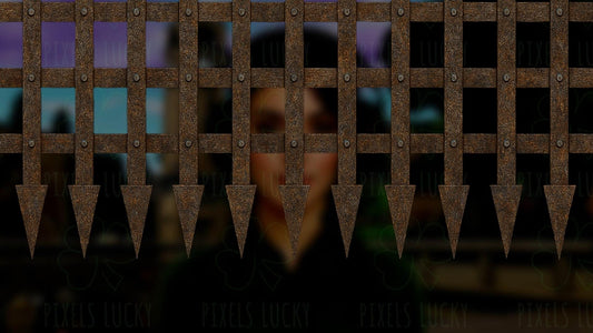 Castle Gate Stream Alert - Animated Overlay - Custom Sound - Full Screen 1920x1080 - Transparent Background - Instant Download - Easy To Use