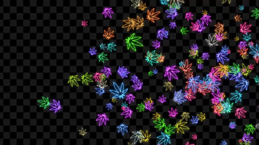 Neon Budburst Stream Alert - Rainbow Full Screen Animated Overlay with Transparent Background - 1920x1080 - Instant Download - 2 Variations