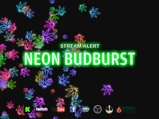 Neon Budburst Stream Alert - Rainbow Full Screen Animated Overlay with Transparent Background - 1920x1080 - Instant Download - 2 Variations