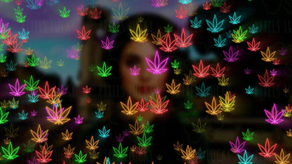 Neon 420 Stream Alert - Full Screen Animated Overlay - Transparent Background - Instant Download - 1920x1080 - Fun & Trippy Marijuana Effect