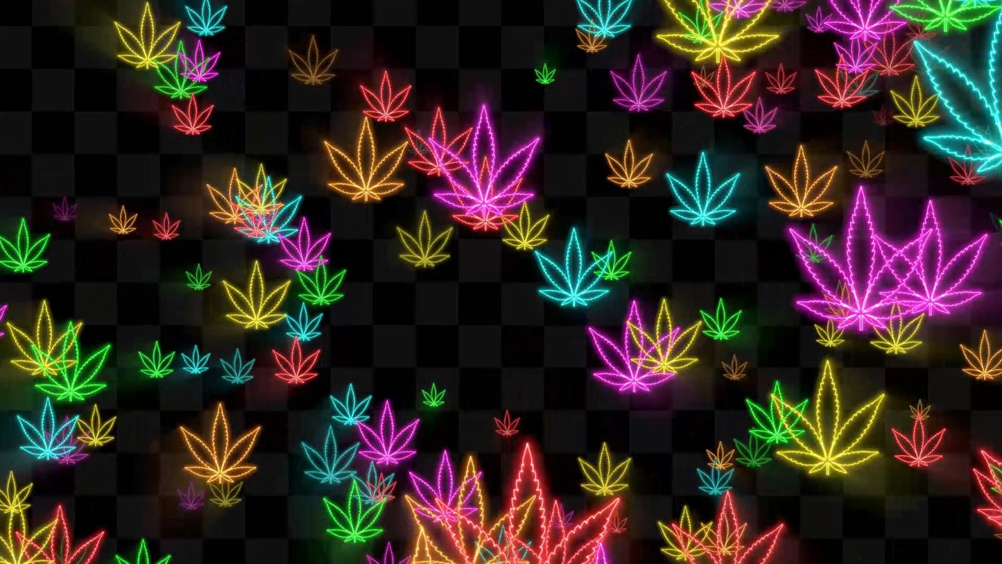 Neon 420 Stream Alert - Full Screen Animated Overlay - Transparent Background - Instant Download - 1920x1080 - Fun & Trippy Marijuana Effect