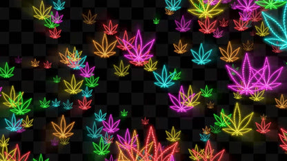 Neon 420 Stream Alert - Full Screen Animated Overlay - Transparent Background - Instant Download - 1920x1080 - Fun & Trippy Marijuana Effect