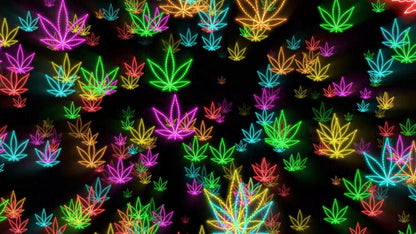 Neon 420 Stream Alert - Full Screen Animated Overlay - Transparent Background - Instant Download - 1920x1080 - Fun & Trippy Marijuana Effect