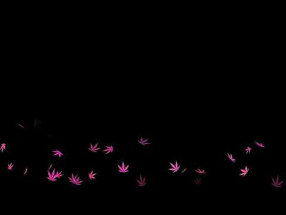 Pink 420 Stream Alert - Cute Floating Weed Leaves Animated Overlay - Full Screen with Transparent Background - 1920x1080 - Instant Download