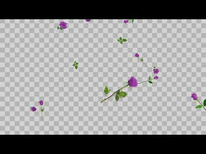 Lilac Roses Stream Alert - Full Screen Animated Flower Overlay w/ Transparent Background - 1920x1080 - Instant Download - Cute & Easy To Use