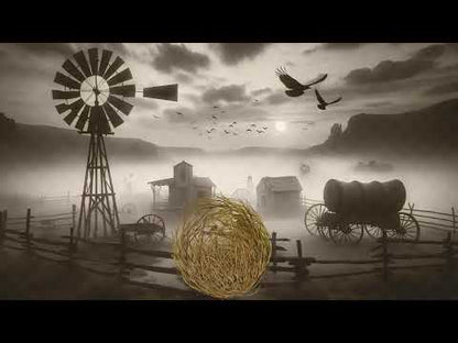 Tumbleweed Stream Alert - Full Screen Animated Overlay w/ Transparent Background - 1920x1080 - Instant Download - Funny Channel Point Redeem