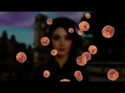 Meatball Stream Alert