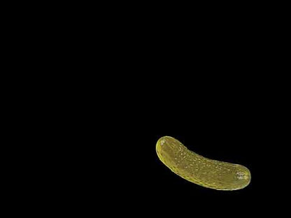 Pickle Drop Stream Alert - Full Screen Animated Effect with Transparent Background - 1920x1080 - Instant Download - Fun Channel Point Redeem