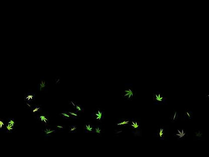 Floating Weed Animated Overlay - Cannabis Stream Alert - 1920x1080 Full Screen 420 Video Overlay w Transparent Background - Instant Download