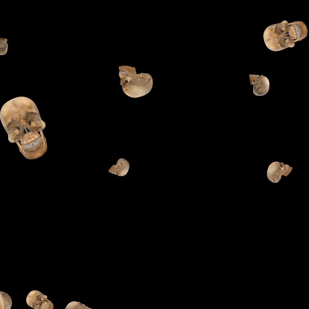 Raining Skulls - Halloween Alert - Full Screen Transparent Animated Twitch Livestream Alert for Donations, Cheers, & More | Spooky + Spoopy