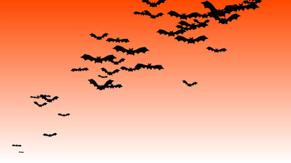 Bat Swarm Alert Overlay for Twitch Stream - Animated Full Screen Transparent - Includes Two Variations! Spooky & Spoopy Halloween Animation!