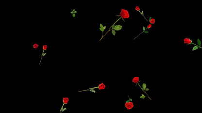 Falling Roses Alert - Full Screen Red Rose Animation - Animated Overlay for Stream Donations, Redemptions & Cheers - Valentine's Day - Love