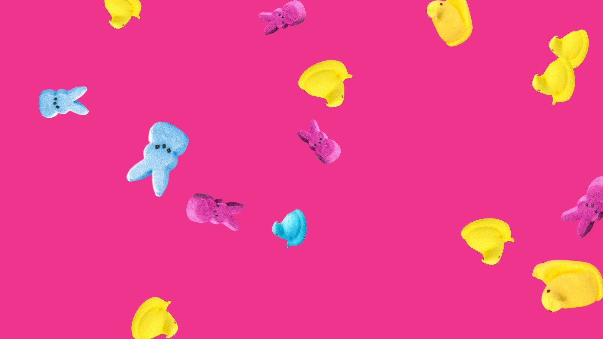 Peeps Rain - Easter Stream Alert - Bunny Day Streaming Effect - Full Screen 1920x1080 Transparent Twitch Overlay - Animated Peep Candy Drop!