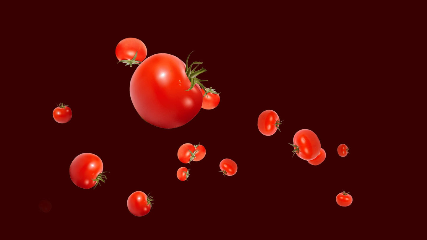 Tomato Splat - Scene Transition Stinger And Stream Alert - Full Screen 1920x1080 Animation with Transparent Background - Food Fight Effect