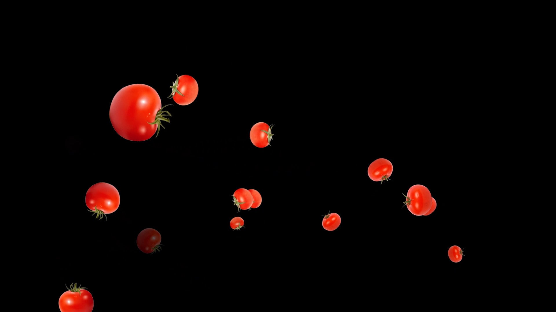 Tomato Toss Alert - Full Screen Flying Tomatoes with Transparent Background - 1920x1080 - Cooking Stream Overlay - Instant Download - .WEBM