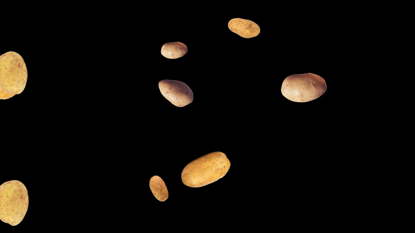 Spud Rain Alert - Potato Drop Stream Effect - Full Screen Raining Potatoes with Transparent Background - 1920x1080 - Instant Download