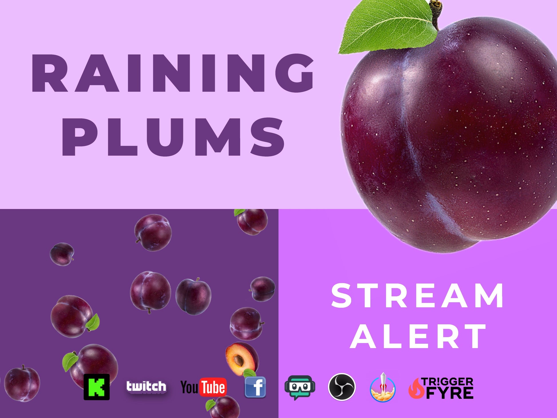 Raining Plums Stream Alert - Full Screen Animated Overlay w/ Transparent Background - 1920x1080 - Instant Download - Feel it in your Plums!