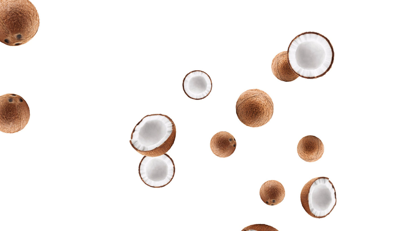 Coconut Rain Stream Alert - Animated Nut Drop Overlay with Transparent Background - Full Screen 1920x1080 - Instant Download - Easy to Use!