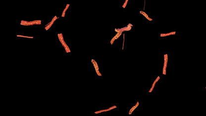 Bacon Rain Stream Alert - Full Screen Animated Overlay with Transparent Background - Breakfast Food Animation - Instant Download - 1920x1080