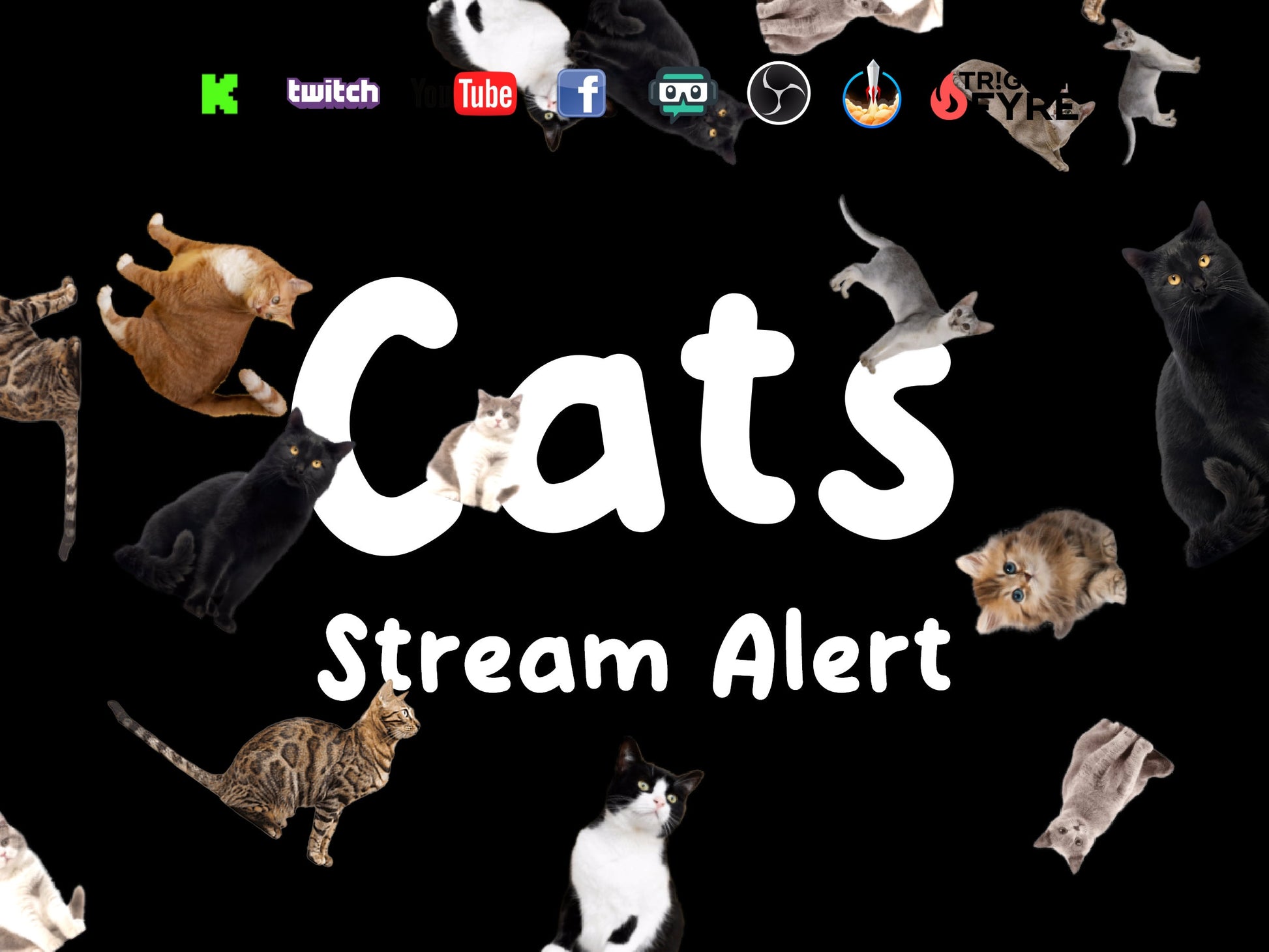 Cats Stream Alert - Full Screen Animated Kitty Shower Overlay w/ Transparent Background - 1920x1080 - Instant Download - Fun Channel Redeem