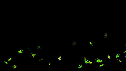 Floating Weed Animated Overlay - Cannabis Stream Alert - 1920x1080 Full Screen 420 Video Overlay w Transparent Background - Instant Download