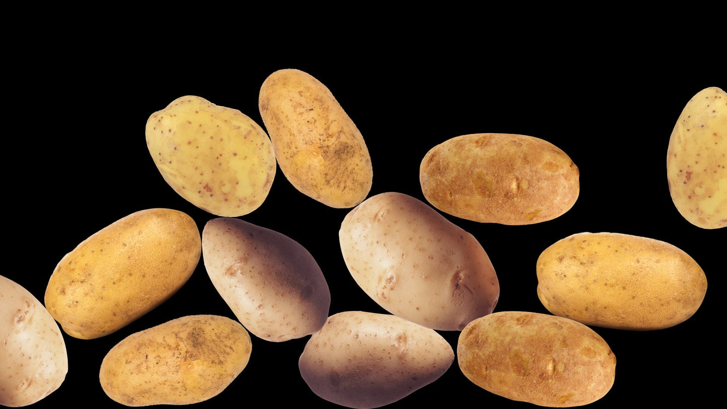 Potato Plop Stream Alert - Full Screen Spud Shower - 1920x1080 Animated Overlay with Transparent Background - Instant Download - Food Effect