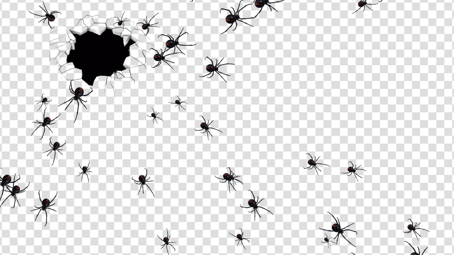 Spider Invasion Stream Alert - Animated Full Screen Overlay with Transparent Background - 1920x1080 - Instant Download - Halloween Effect