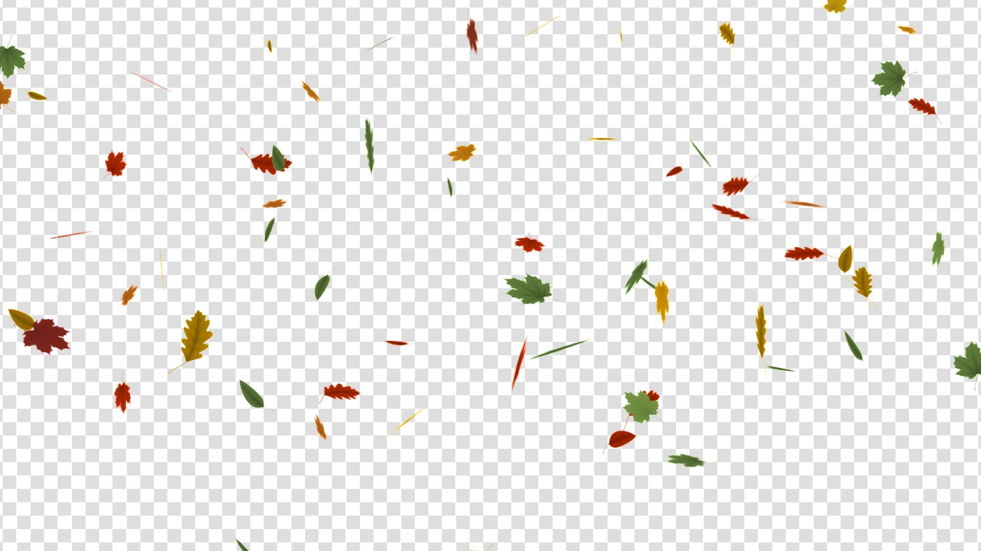 Fall Leaves Stream Alert - Animated Autumn Foliage Shower - Full Screen Overlay with Transparent Background - 1920x1080 - Instant Download