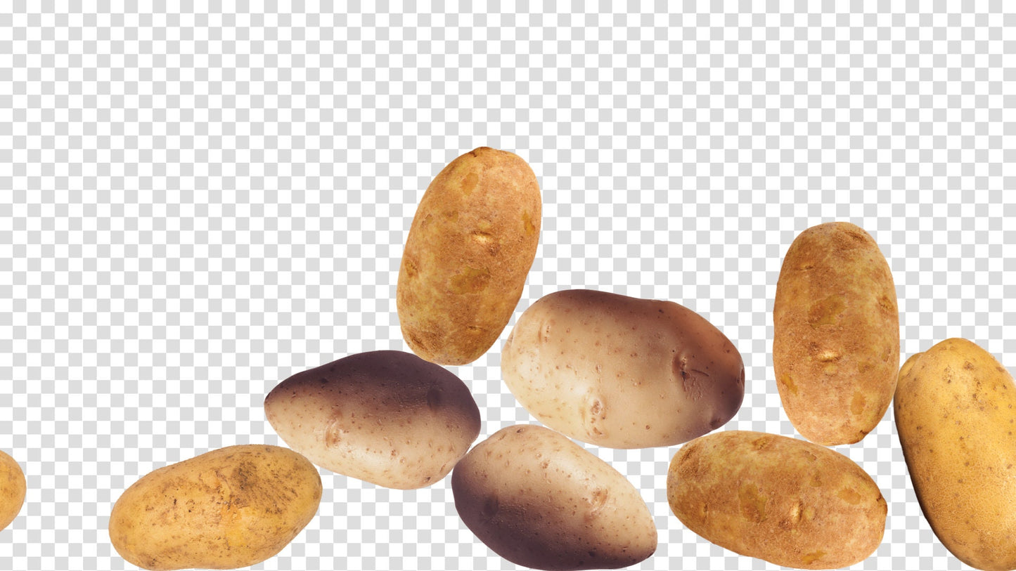 Potato Plop Stream Alert - Full Screen Spud Shower - 1920x1080 Animated Overlay with Transparent Background - Instant Download - Food Effect