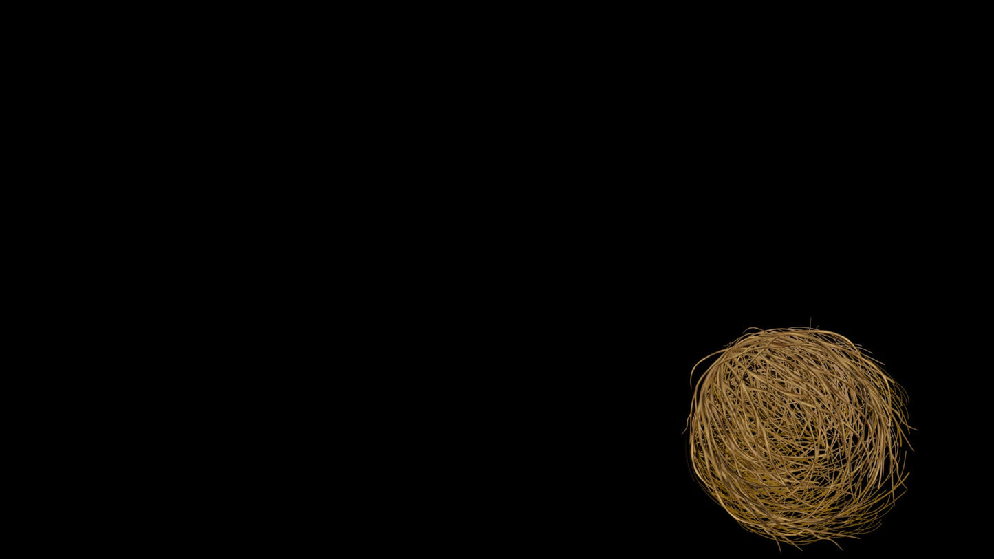 Tumbleweed Stream Alert - Full Screen Animated Overlay w/ Transparent Background - 1920x1080 - Instant Download - Funny Channel Point Redeem