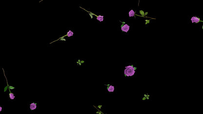 Lilac Roses Stream Alert - Full Screen Animated Flower Overlay w/ Transparent Background - 1920x1080 - Instant Download - Cute & Easy To Use