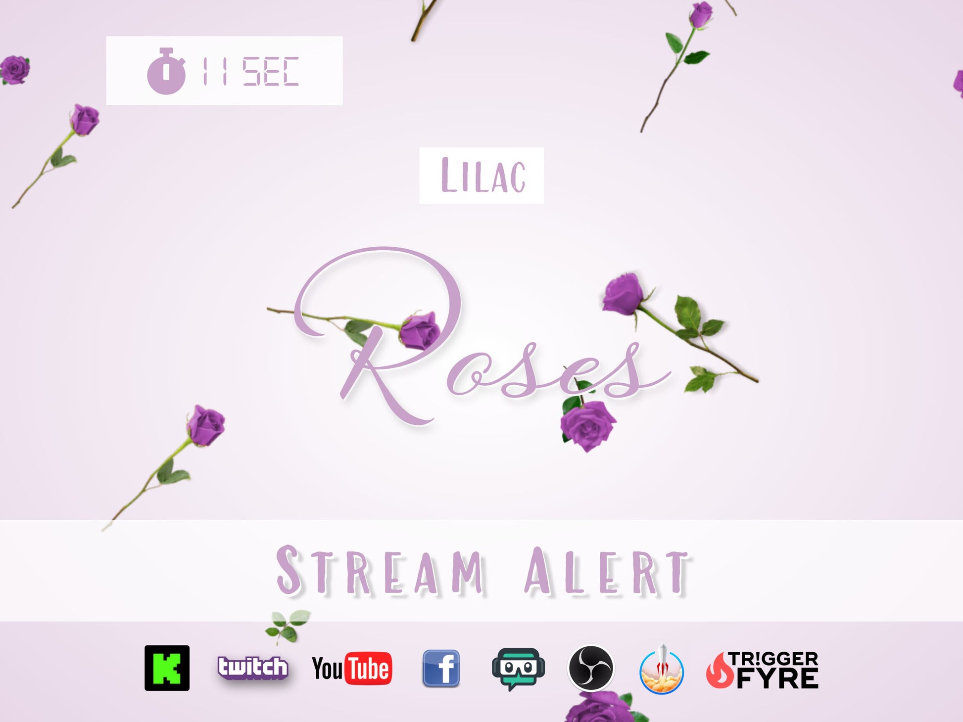 Lilac Roses Stream Alert - Full Screen Animated Flower Overlay w/ Transparent Background - 1920x1080 - Instant Download - Cute & Easy To Use